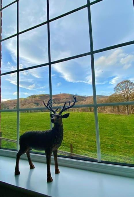 The Old Coach House Bed & Breakfast Llangollen Eksteriør bilde